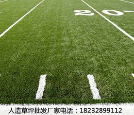 新闻 新泰人造草坪草坪哪家好