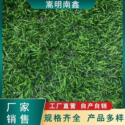 塑料草坪人造草皮户外装饰假草屋顶工地小草围挡