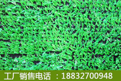 新闻 人造草坪生产工厂 性价比高的 清苑