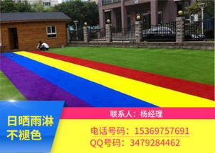 新闻 枣庄塑料草坪每平米价格生产厂家 新闻