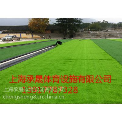 诸暨*人造草坪材料价格
