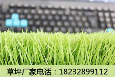 新闻 大同阳高人造草坪的价格值得信赖 厂家