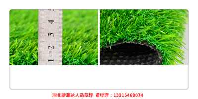 新闻 玉龙县人造草坪国内市场