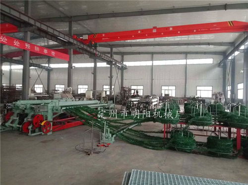 拧花网机 草坪拧花网机出网图 定州市明阳机械厂 诚信商家
