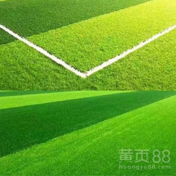 深圳
