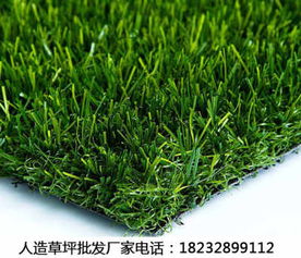 新闻 山东菏泽人造草坪厂商 量身定制