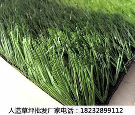 新闻 微山人工草皮价格生产厂家