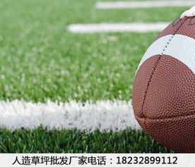 新闻 内蒙古固阳人造草坪厂家排名 品种齐全