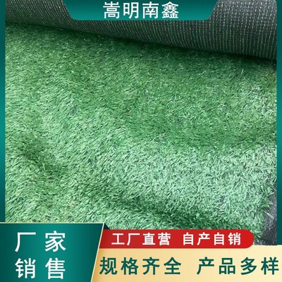 塑料草坪人造草皮户外装饰假草屋顶工地小草围挡