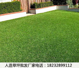 新闻 内蒙古和林格尔人造草坪施工方案 批发价格
