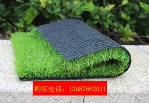 草坪草坪 环保 高度多高 应该这样买