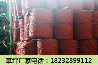 新闻 汕尾人造草坪工程厂家价格