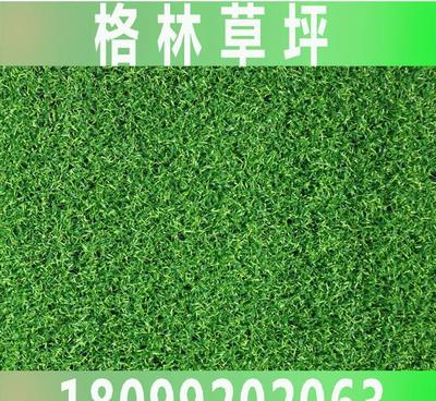 【无锡格林人造草坪厂家推荐 装饰景观草坪 G013】价格_厂家_图片