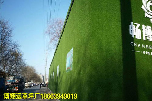 密度高防绿草皮墙面每平方米价格是多少 兴安