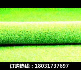 新闻 株洲醴陵花园塑料草坪生产材料公司 人造草坪