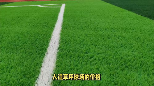人造草坪球场多少钱