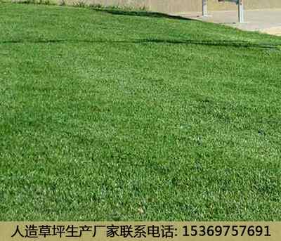新闻 喀什休闲人造草坪